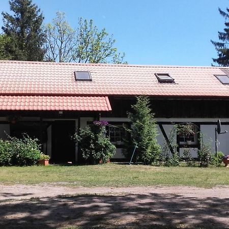 Agroturystyka Pod Debami W Klukach Smołdzino 外观 照片