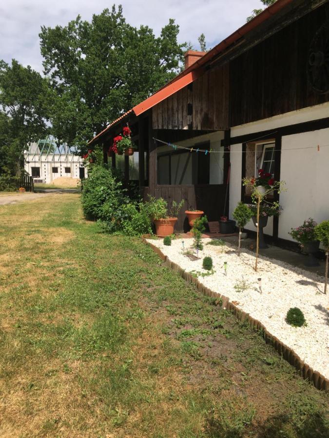 Agroturystyka Pod Debami W Klukach Smołdzino 外观 照片