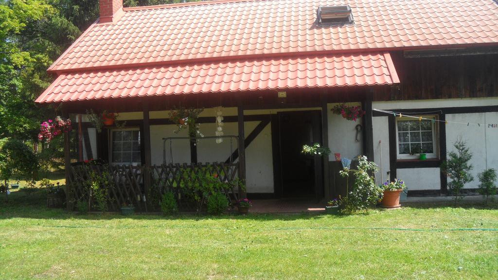 Agroturystyka Pod Debami W Klukach Smołdzino 外观 照片