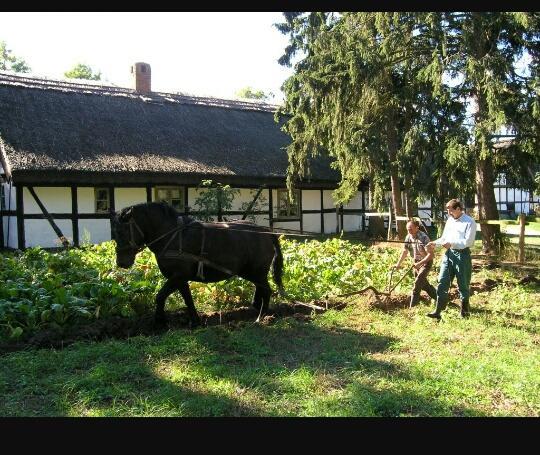 Agroturystyka Pod Debami W Klukach Smołdzino 外观 照片