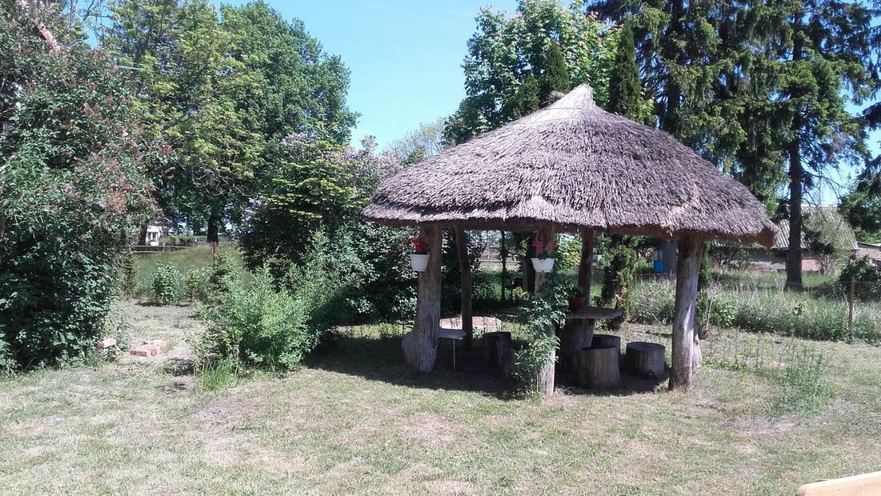 Agroturystyka Pod Debami W Klukach Smołdzino 外观 照片